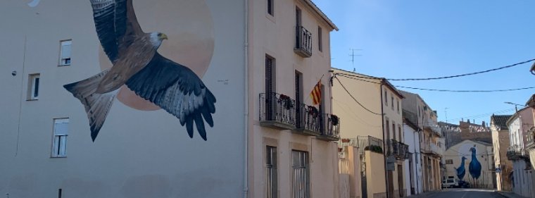 Murales de ivars d'urgell