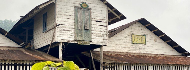 Roça Monte Café