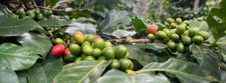 Itinerario de viaje por Colombia