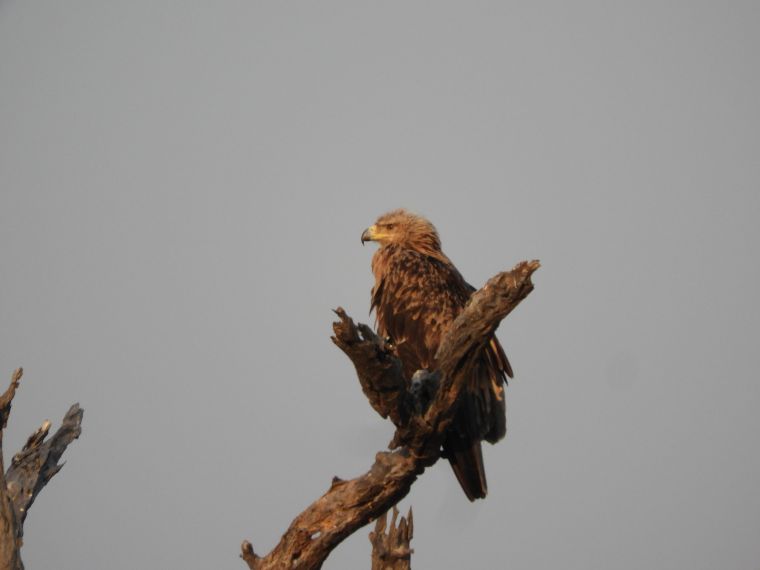 Kidepo Valley en Uganda