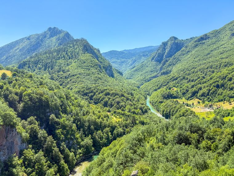 Cañón del río Tara