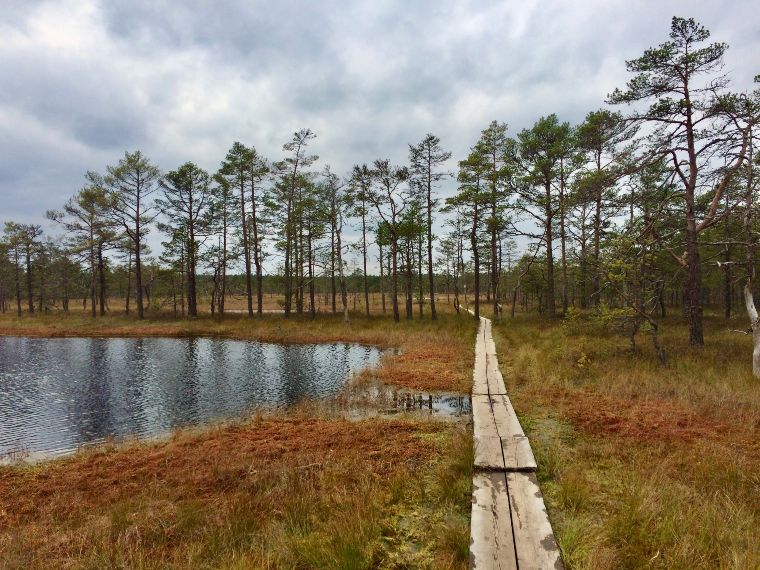 Parque Nacional Lahemaa en Estonia