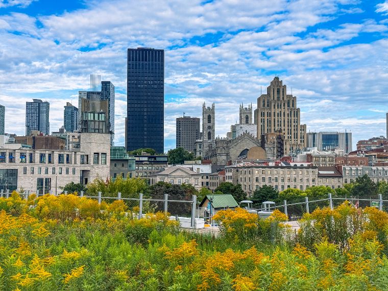 Lugares imprescindibles que ver en Montreal