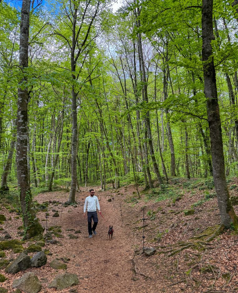 Qué ver en La Garrotxa