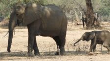 Viajar a Zambia