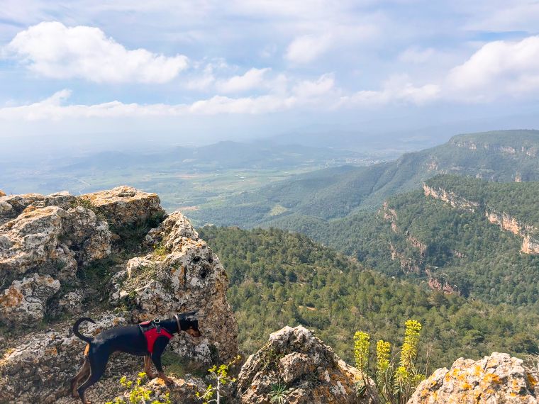 Vistas de las montañas de Prades